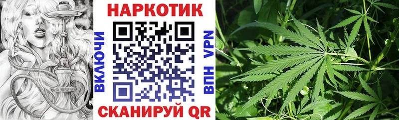 Магазин наркотиков Новозыбков А ПВП  COCAIN  МЕФ  Амфетамин  Бошки Шишки 