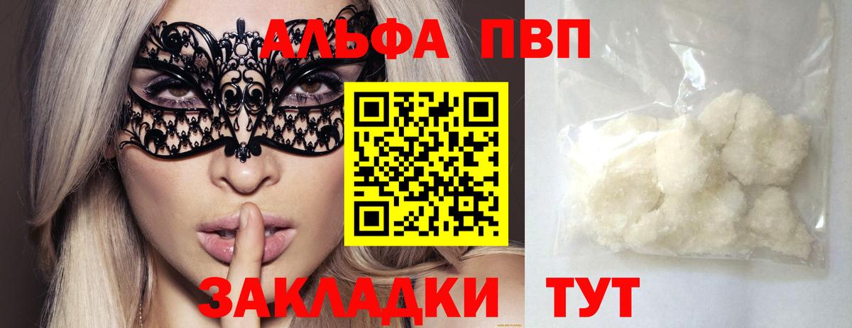 Alfa_PVP СК Новозыбков