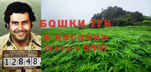 крисы Алзамай