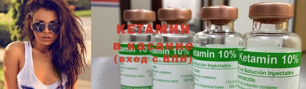 крисы Алзамай