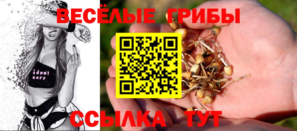 Псилоцибиновые грибы MAGIC MUSHROOMS Новозыбков