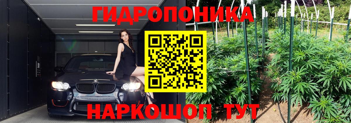 Конопля OG Kush Новозыбков